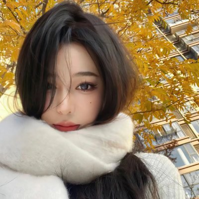 科搜研之女第23季