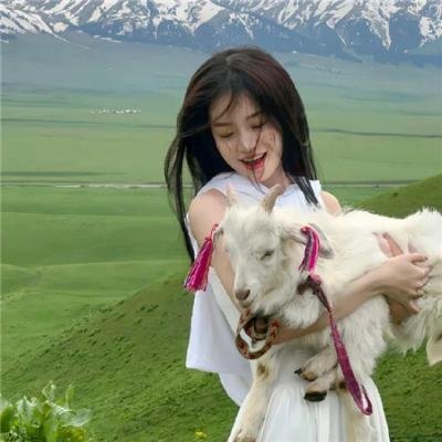 阿拉丁国语